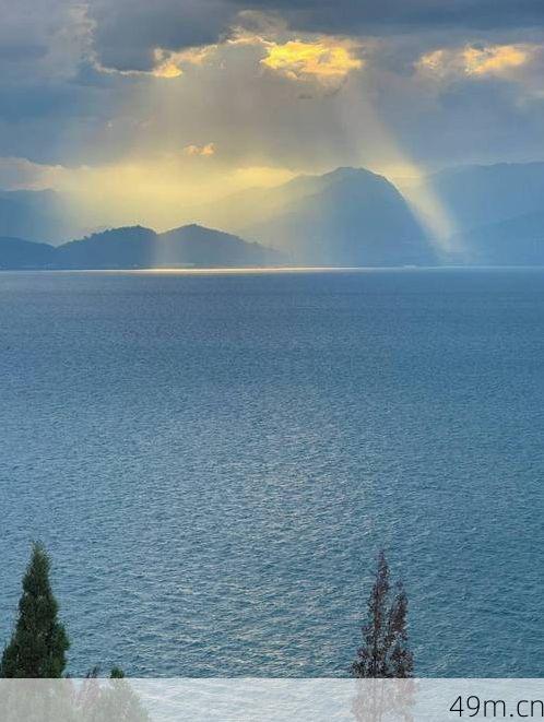 我能在手机上直接玩Fap Nights吗？手把手带你解锁移动端畅玩攻略！