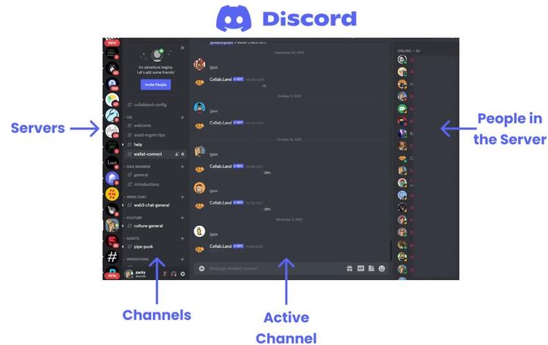 discord是什么意思（discord软件是干嘛的）