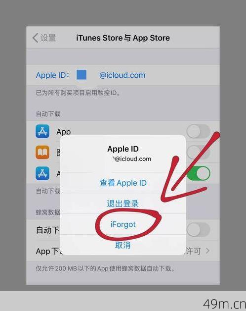 警惕网络陷阱，美国苹果ID账号大全及密码的真相揭秘！
