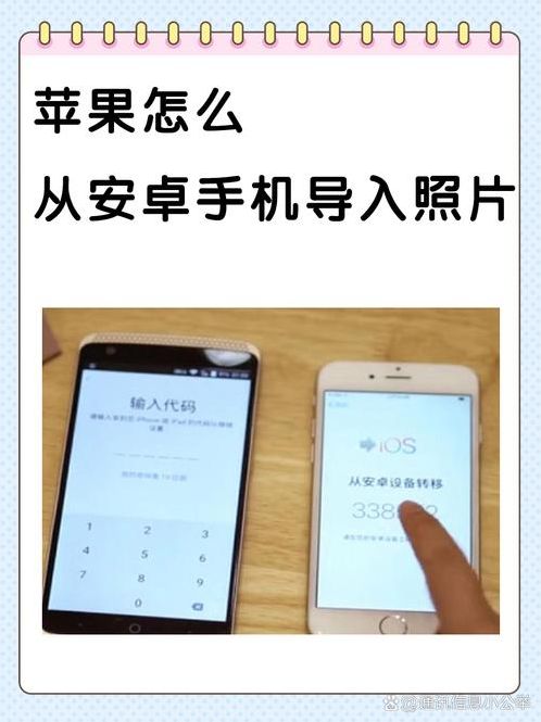 苹果手机助手下载安装（iphone手机助手下载）