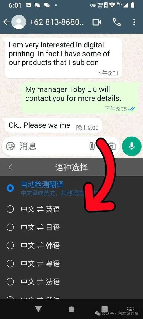 聊天软件whatsapp下载（what's聊天软件）