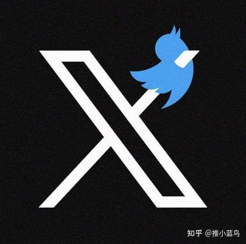 推特网页版（推特网页版怎么改中文）