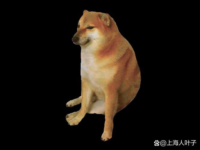 chet怎么读（Chet怎么读英语）