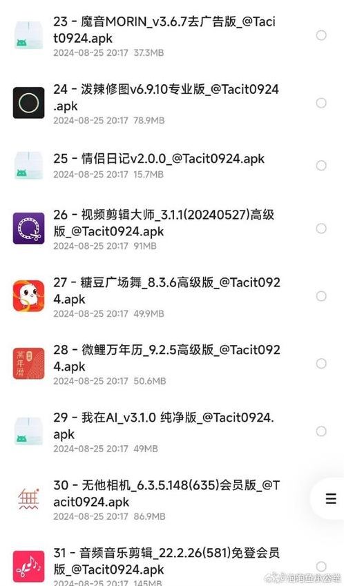 手机软件破解网站（手机软件破解平台）