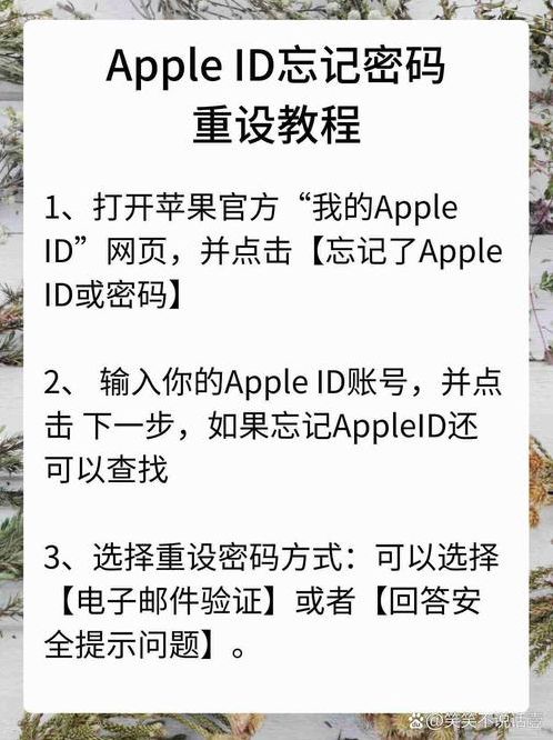 苹果账号是什么格式（苹果账号格式是什么样的）