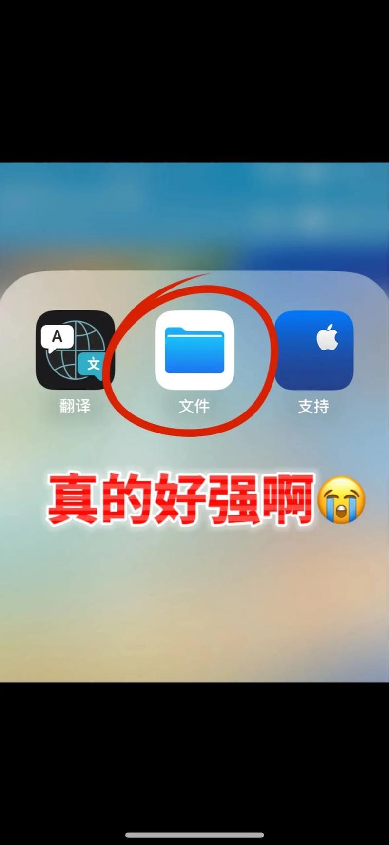苹果手机专用软件下载（苹果手机专用下载软件叫什么）