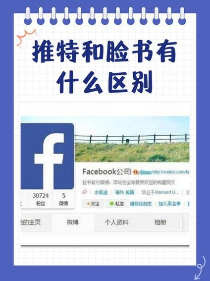 推特和脸书哪个更黄（推特 和脸书）