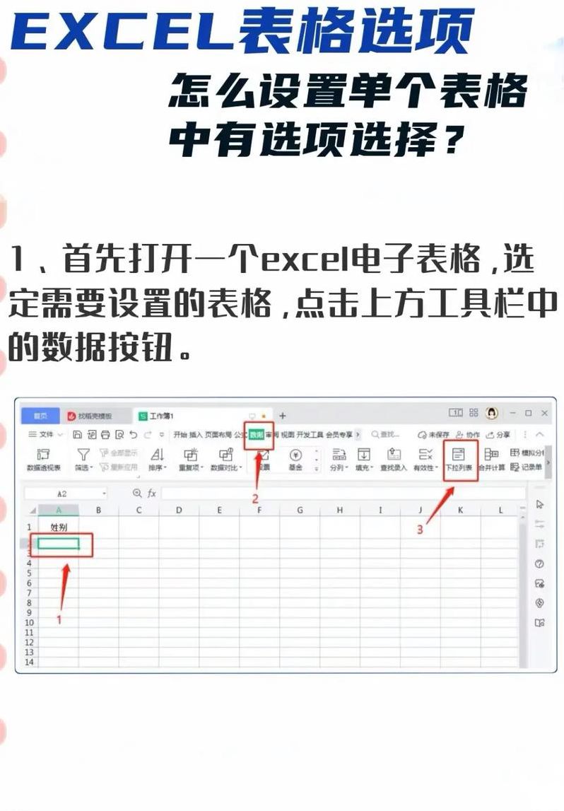电子表格软件教程（电子表格软件的使用）