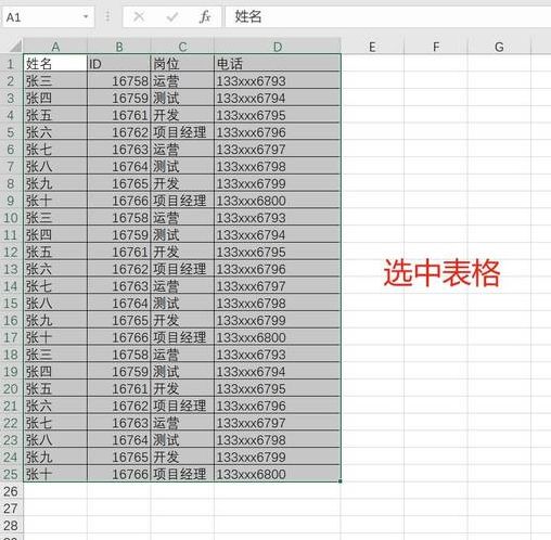 电子表格软件教程（电子表格软件的使用）