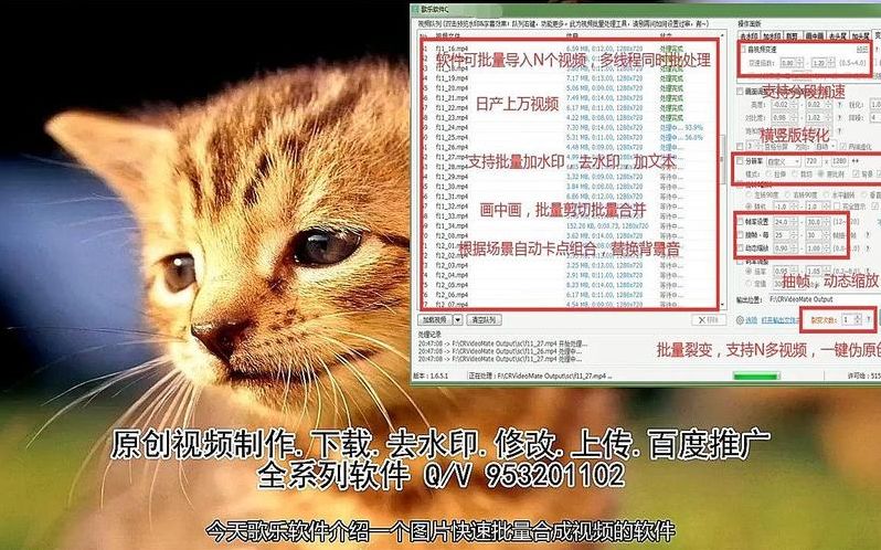 假视频软件教程（视频伪造软件）