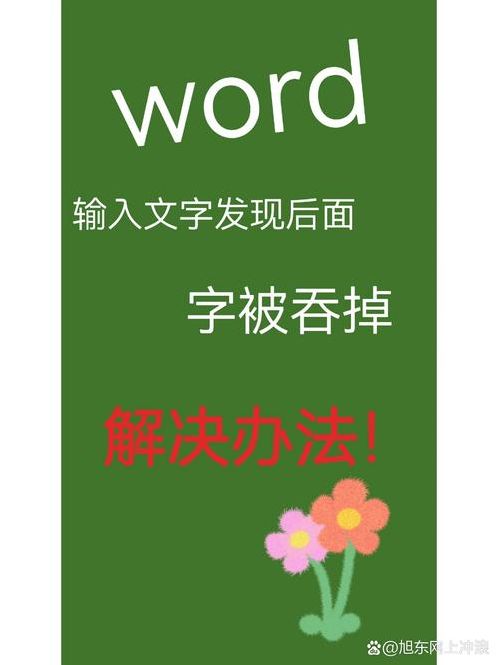 word打字后面的字消失是怎么回事（word打字后面的字消失是怎么回事笔记本）