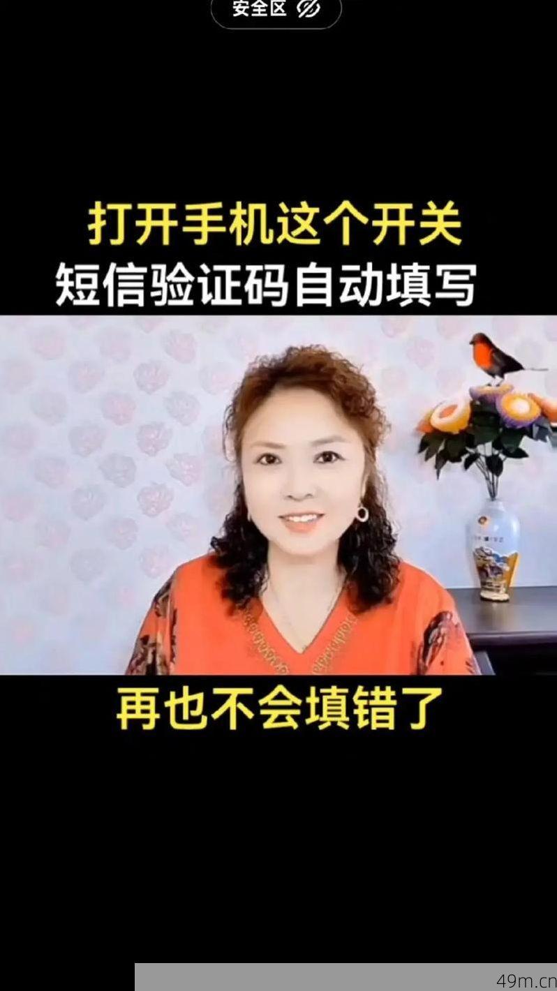 怎样快速填写验证码