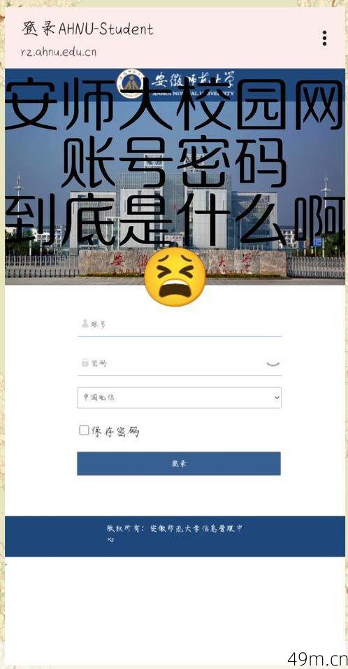 闽政通验证码怎么输入才正确？