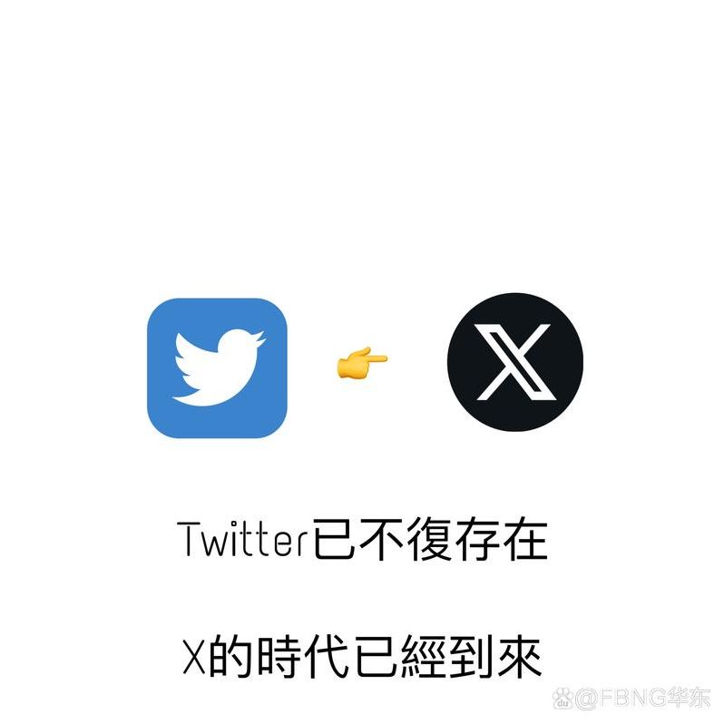 推特上面有很多片吗（推特上面好多）