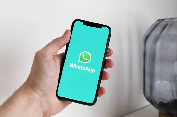 whatsapp官方免费下载最新安卓（whatsapp官方网下载安卓2020手机版）