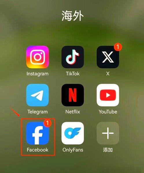 脸书app安卓版下载（脸书app中文版下载安装）