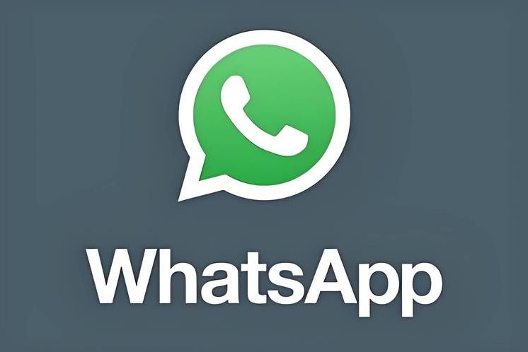 whatsapp网页登陆（whatsapp web网页版登陆）