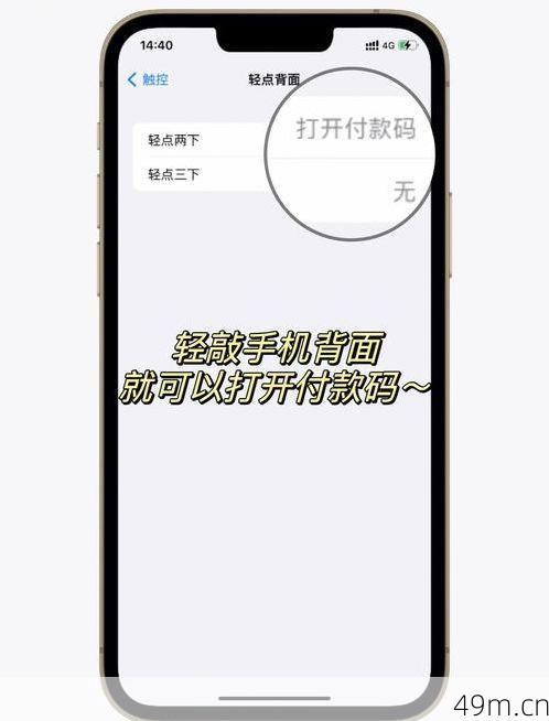 苹果付款方式怎么填