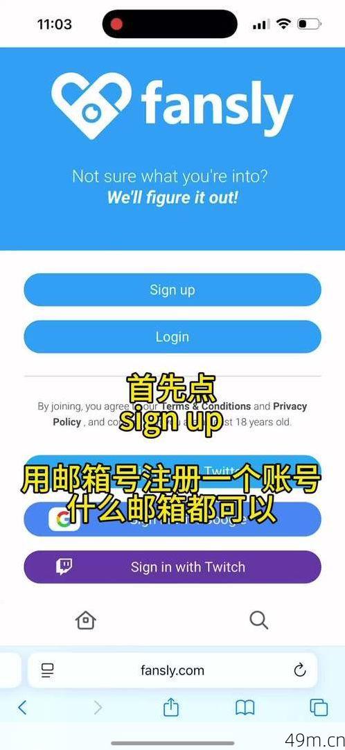 Fansly怎么下载？手把手教你轻松搞定！