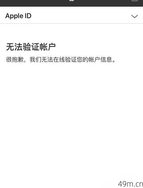 N网登录验证码挑战失败？5个实用解决方案亲测有效！