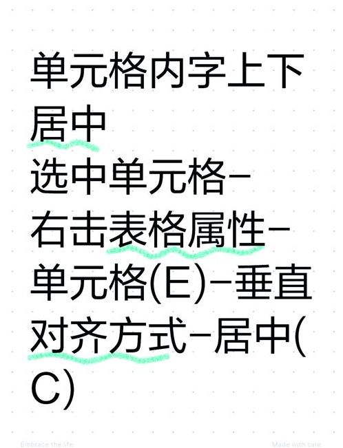 word表格中文字怎么上下居中（word表格文字怎么上下居中正中央）