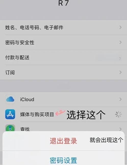 如何退出苹果商店id账号换新帐号（如何退出苹果商店id账号换新帐号登录）
