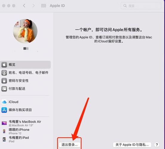 如何退出苹果商店id账号换新帐号（如何退出苹果商店id账号换新帐号登录）