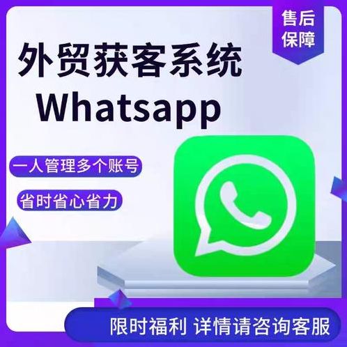 whatsap批量精准抓取引流（批量引流是什么意思）
