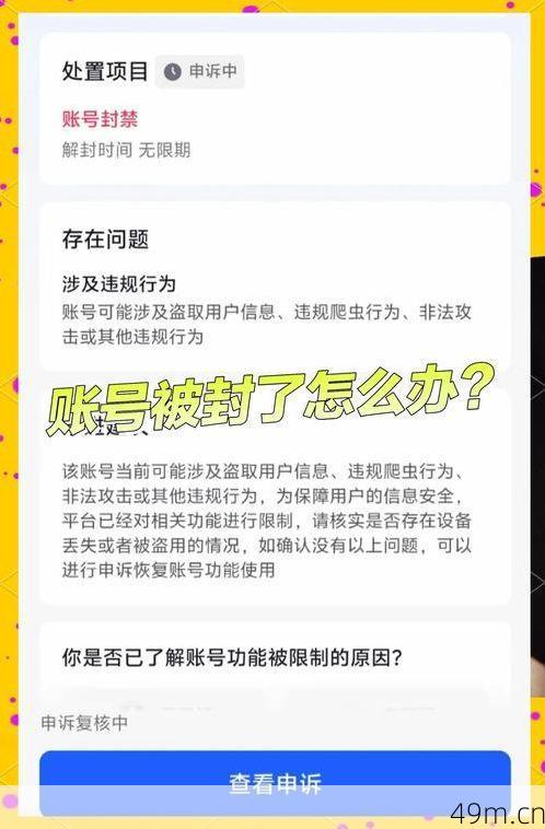 纸飞机账号被限制发言怎么办？别慌，老用户亲测有效的解封攻略！