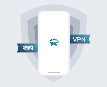 可以上推特的加速器(猎豹每天免费1小时加速)