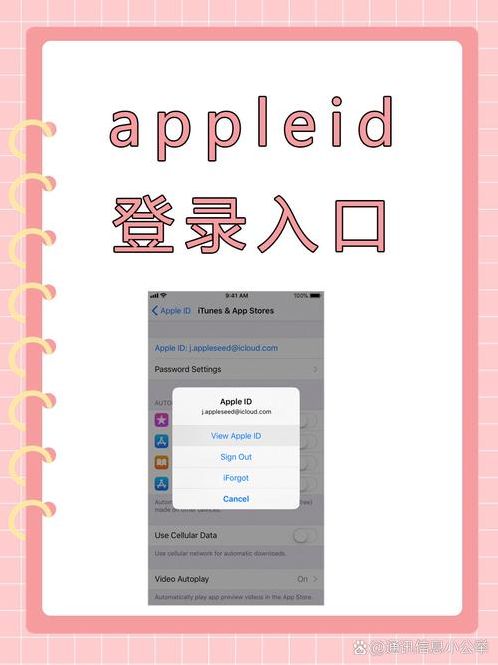 苹果id注册入口(apple官网登录入口)