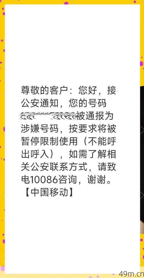 纸飞机中国号码禁停怎么办？别慌！我来分享亲测有效的解决攻略