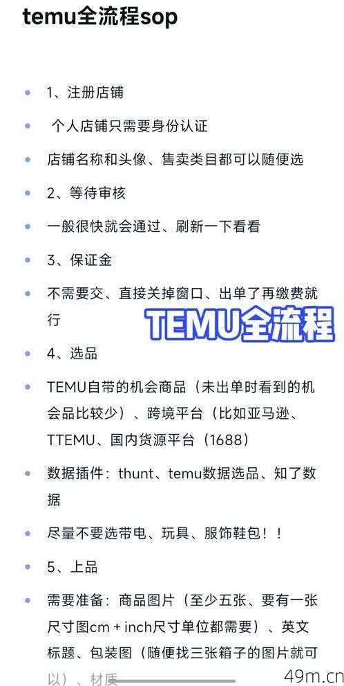 Temu商家版有电脑版吗？一个卖家的亲身实践与超详细攻略