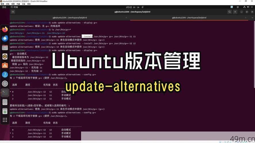 Alternativeto怎么下载？让我这个软件爱好者来告诉你！
