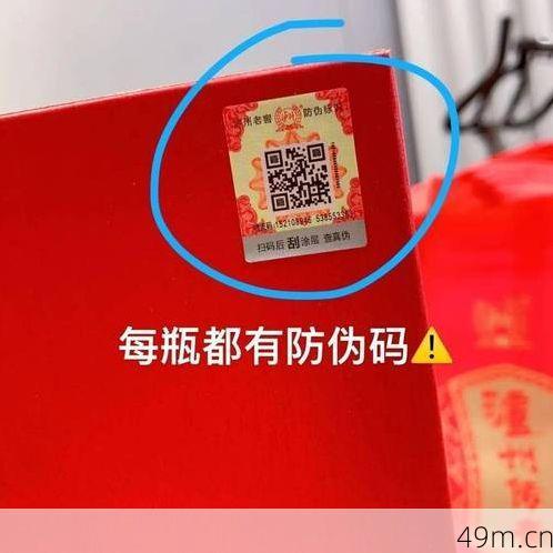 倾柔祥验证码是正规的吗？亲身实测揭秘真相！