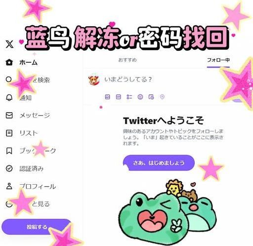 推特账号被冻结了怎么解冻看不懂英文（推特帐号冻结怎么办）