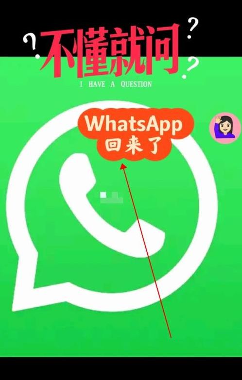 whatsapp安卓下载安装官网(whatsapp安卓下载最新版本下载)