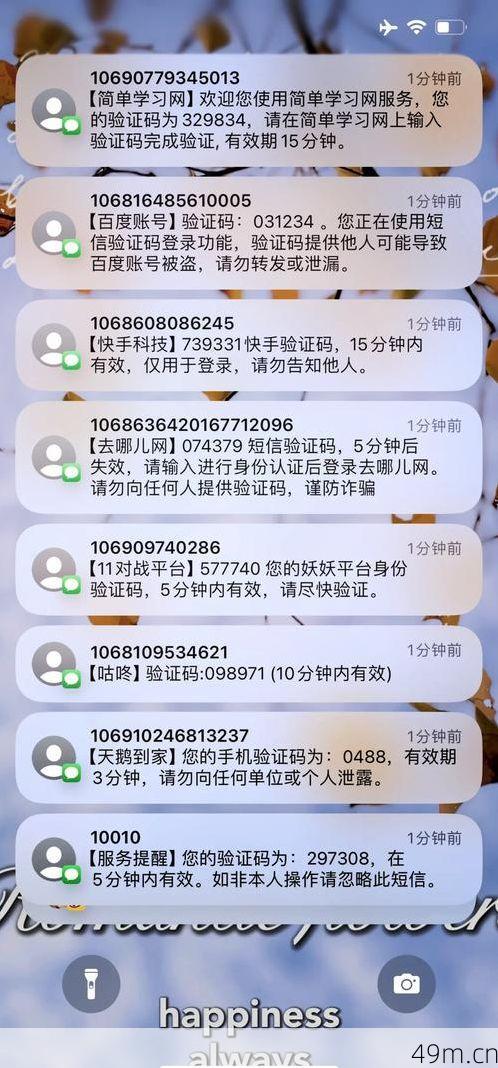 花猫网络发验证码，到底安不安全？我的亲身使用与防范经验分享