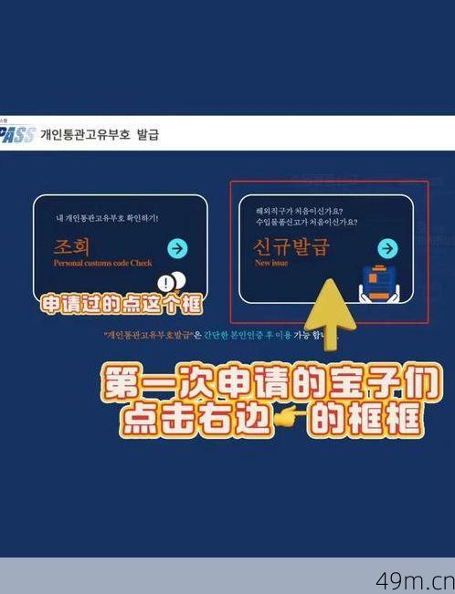 如何输入验证码?一个网络爱好者的高效通关指南
