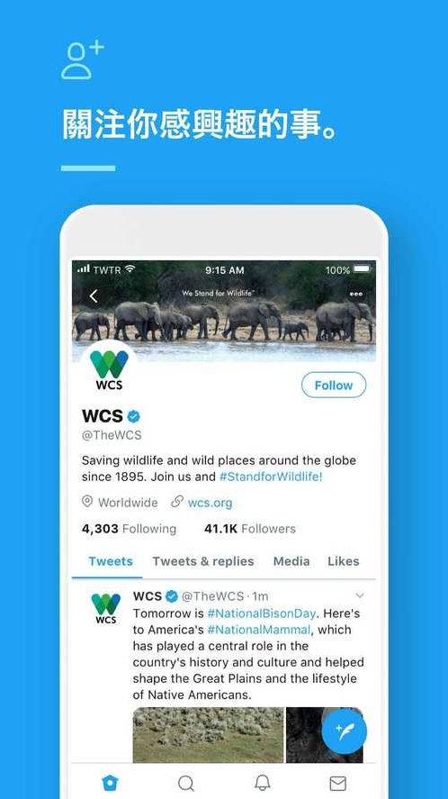 twitter网页版（推特官网twitter网页版）