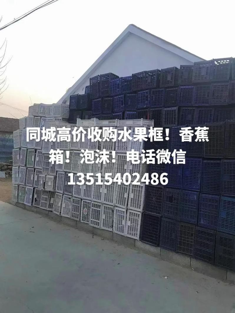 水果收购商电话号码（大量收购各种水果电话）