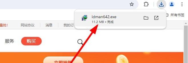 图片[3]-IDM官网下载地址（官方最新版安装入口）