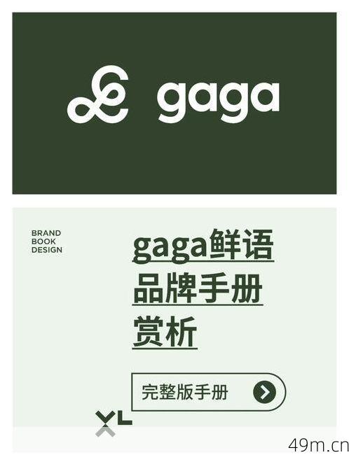Gagaoolala在大陆能用吗？资深爱好者亲测，给你最全的解锁指南！