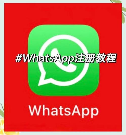 whatsapp网页版怎么登陆（whatsapp可以网页登陆吗）