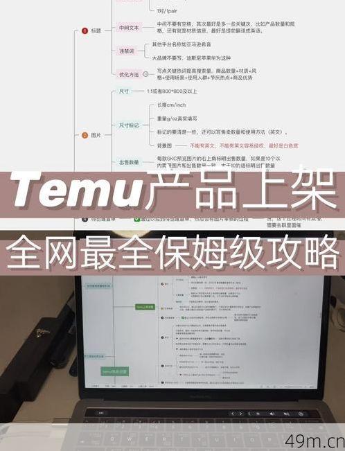 国内怎么访问Temu官网？手把手教你轻松搞定购物新体验！