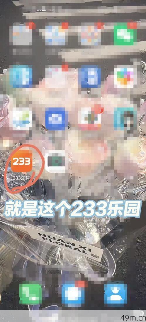 233乐园注销账号需要刷脸吗？亲身经历告诉你答案！