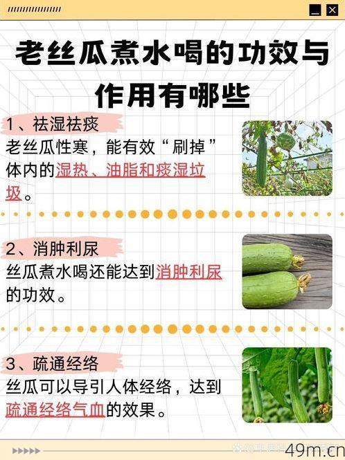 丝瓜注册要收费吗？一个网络爱好者的亲身经历大揭秘！