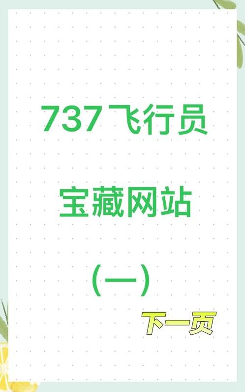 海外账号批发网飞机（海外账号大全）