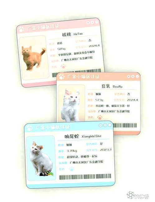 猫咪账号密码共享2022(猫咪账号密码共享130天查询)