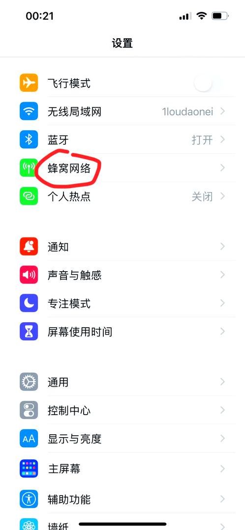苹果手机国外上网（苹果手机国外上网软件）